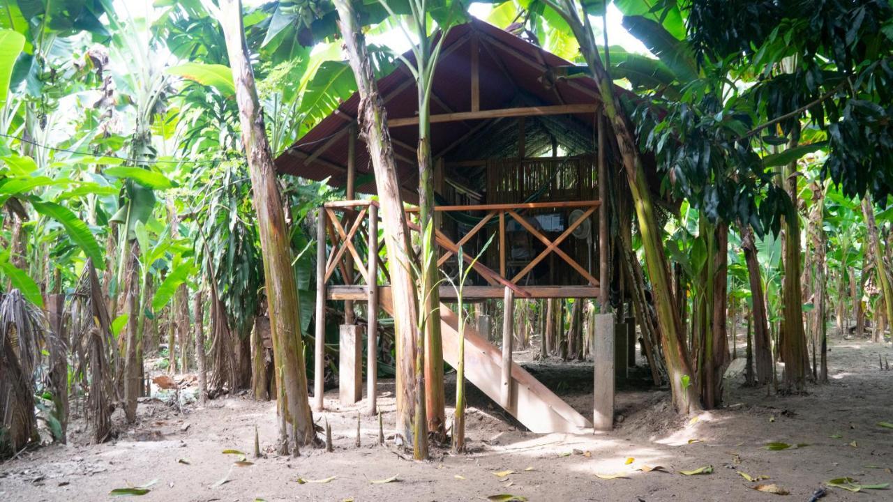 La Playita Hostel Guachaca Exterior foto