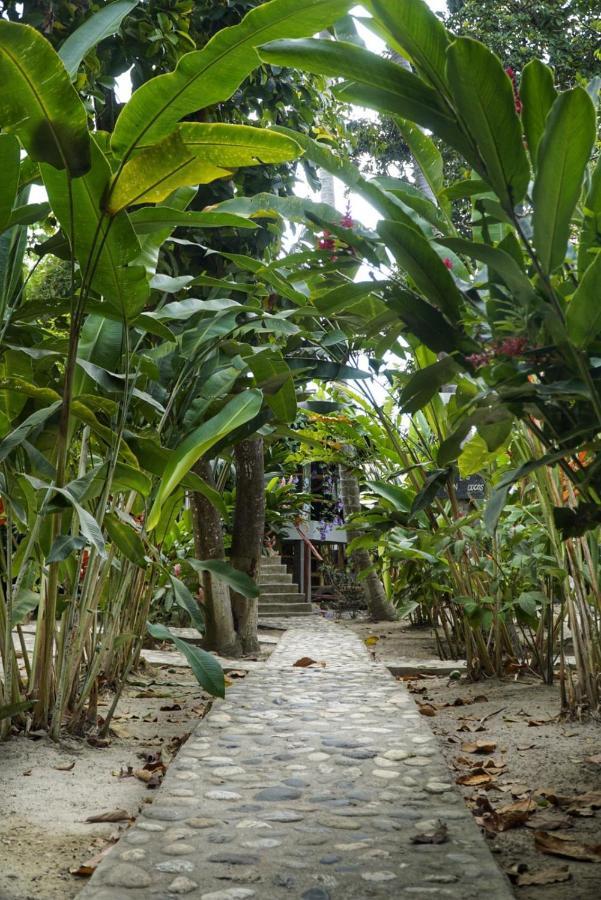 La Playita Hostel Guachaca Exterior foto