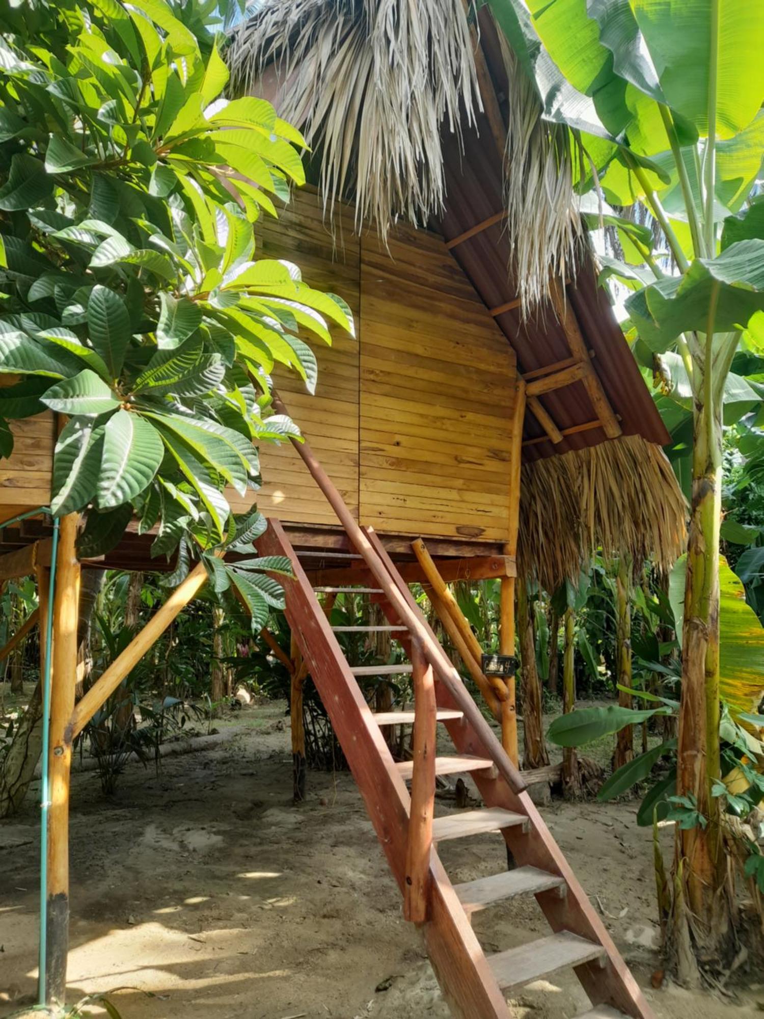 La Playita Hostel Guachaca Exterior foto